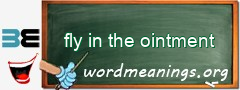 WordMeaning blackboard for fly in the ointment